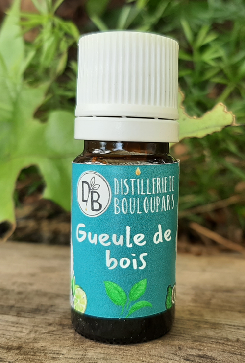 Synergie d'huiles essentielles contre la gueule de bois , les nausées d'une manières générale et problèmes de foie...Distillerie de Boulouparis