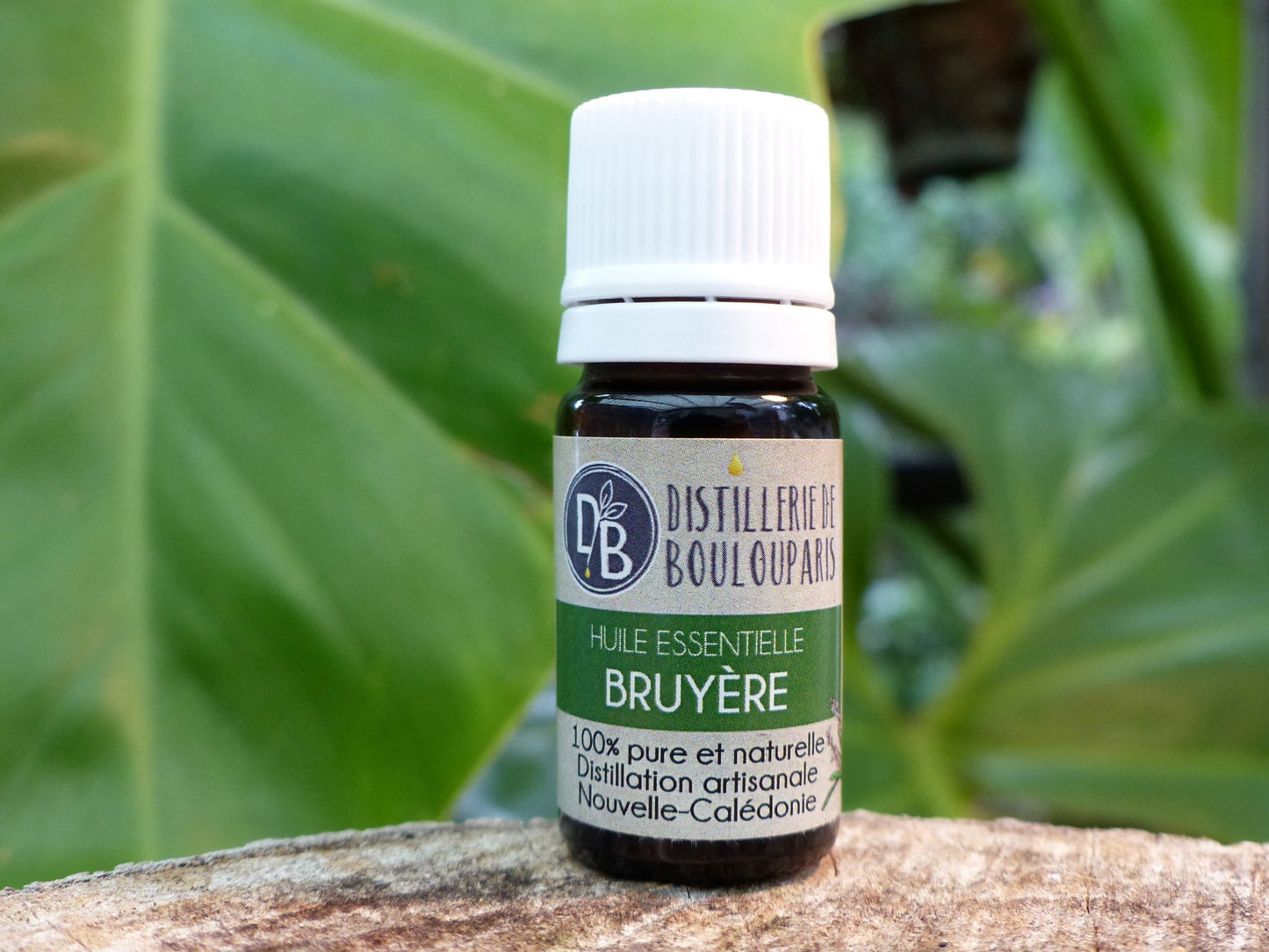 Huile essentielle de bruyère - 5ml - Distillerie de Boulouparis