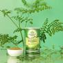 Moringa en poudre - 100g - Organic India