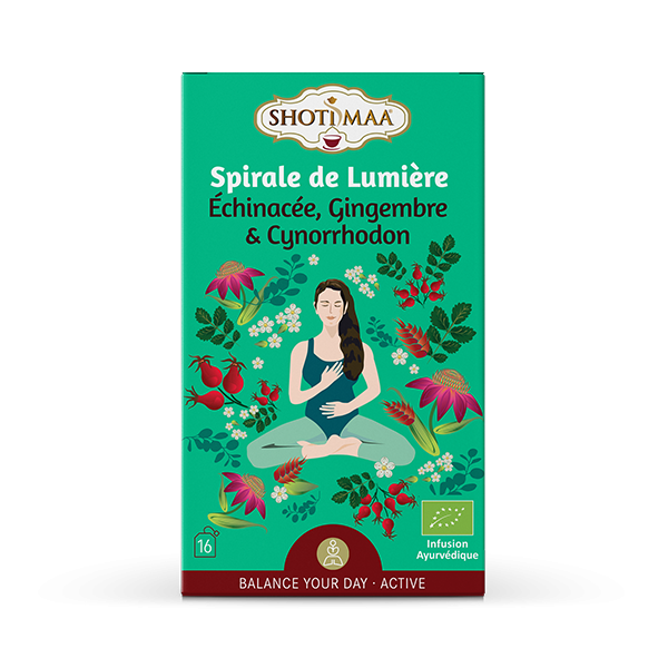 Tisane bio Echinacée, Gingembre, Cynorrhodon "Spirale de Lumière"- Shoti Maa