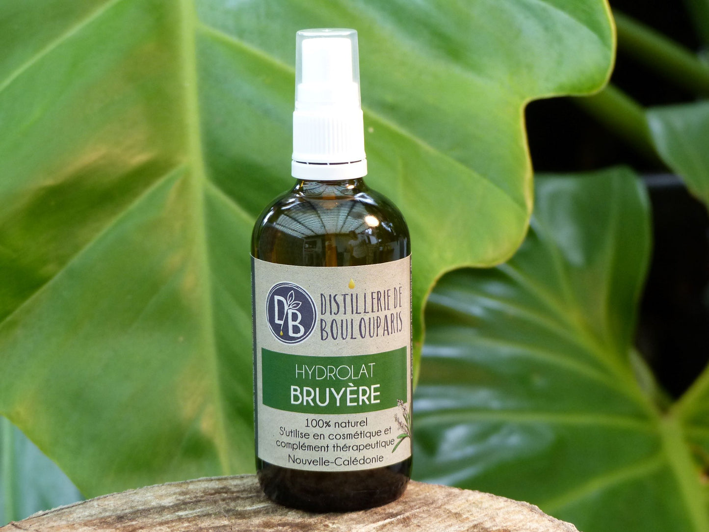 Hydrolat de bruyère - 100ml - Distillerie de Boulouparis