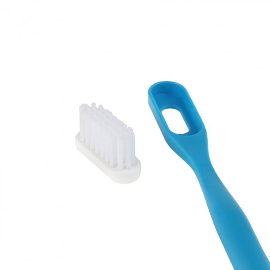 Recharge pour brosse à dents - Lamazuna